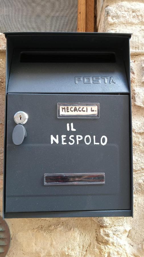Appartamento Il Nespolo سان جيمينيانو المظهر الخارجي الصورة
